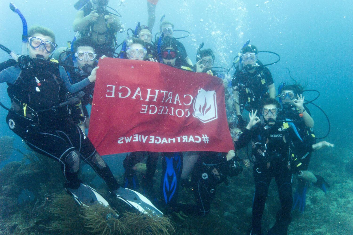 学生们手持<a href='http://3bz6.ngskmc-eis.net'>博彩网址大全</a>旗帜，在j学期洪都拉斯游学之旅中潜水.